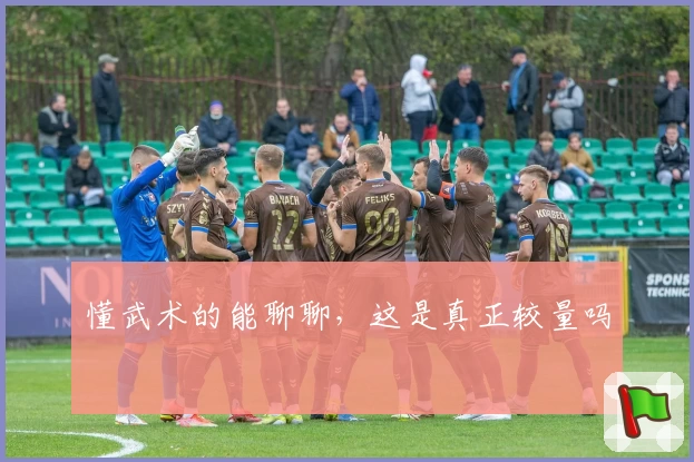 懂武术的能聊聊，这是真正较量吗