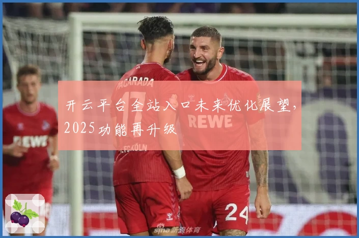 开云平台全站入口未来优化展望，2025功能再升级