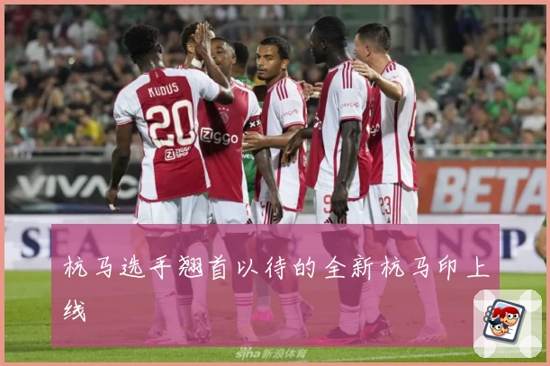 杭马选手翘首以待的全新杭马印上线