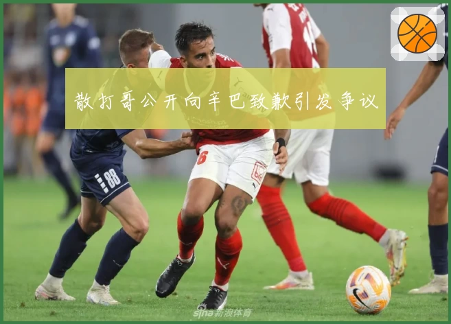 散打哥公开向辛巴致歉引发争议