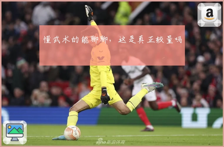 懂武术的能聊聊，这是真正较量吗